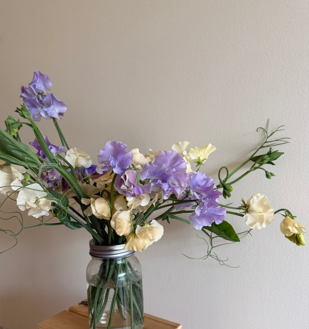 Specialty Sweet Peas