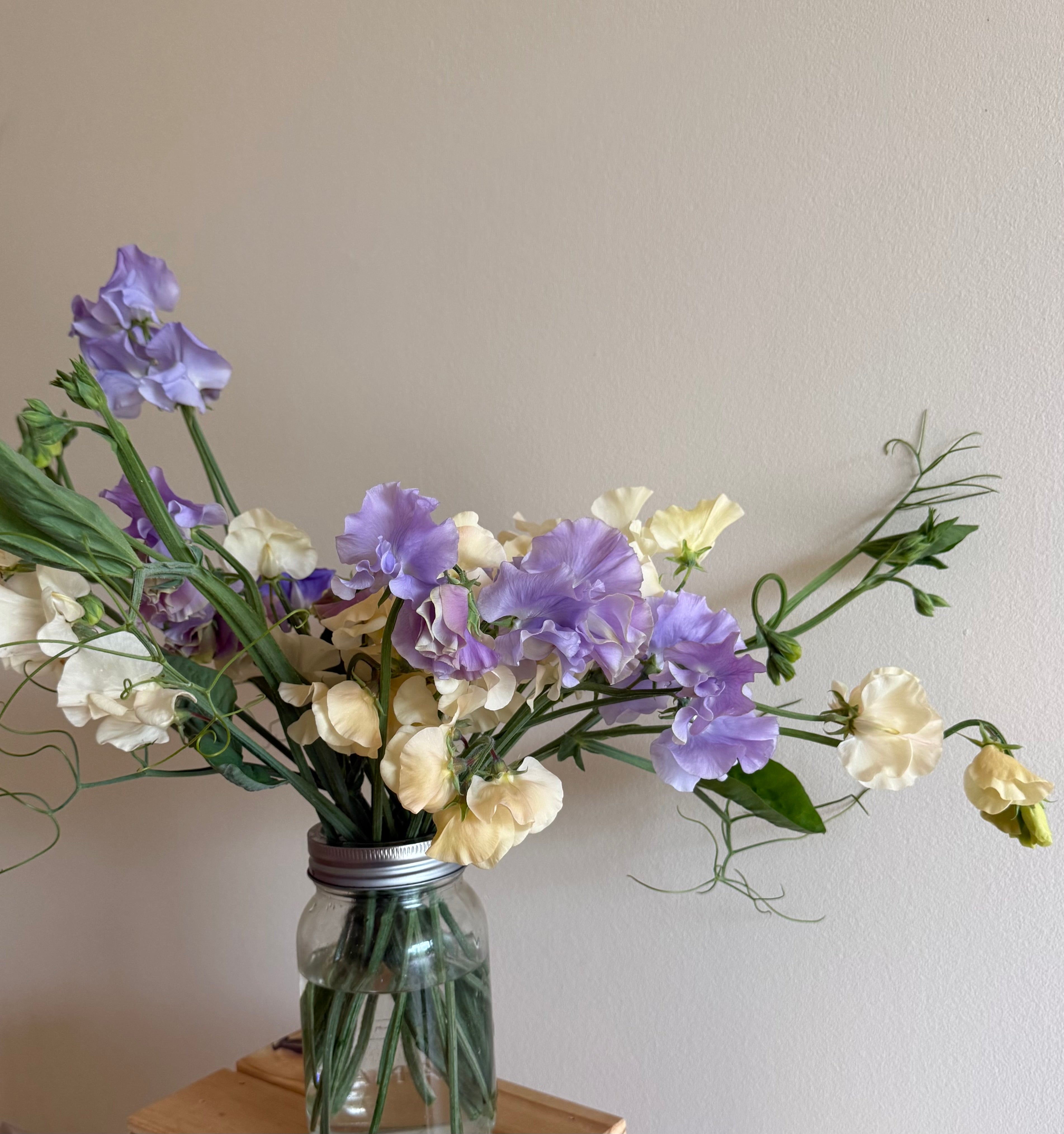 Specialty Sweet Peas