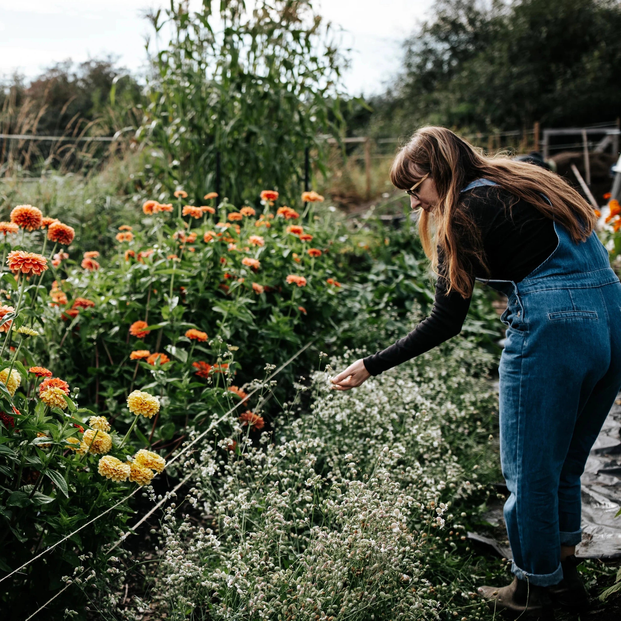 Woman tending to flowers in a garden with colorful blooms.