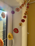 Strawflower Strings of Sunshine - House Of Orange Farm